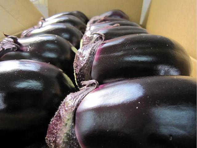 中出農園_2 ｜ 大阪府貝塚市の野菜直売所 ｜ ヤサイバー（YACYBER）