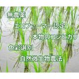 大地創造職人 反町敏彦の写真サムネイル2