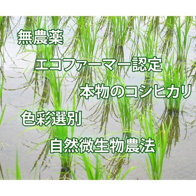 大地創造職人 反町敏彦の写真画像2