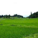 やよい農園の写真サムネイル2