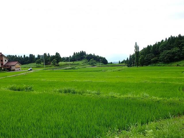 やよい農園の写真画像2