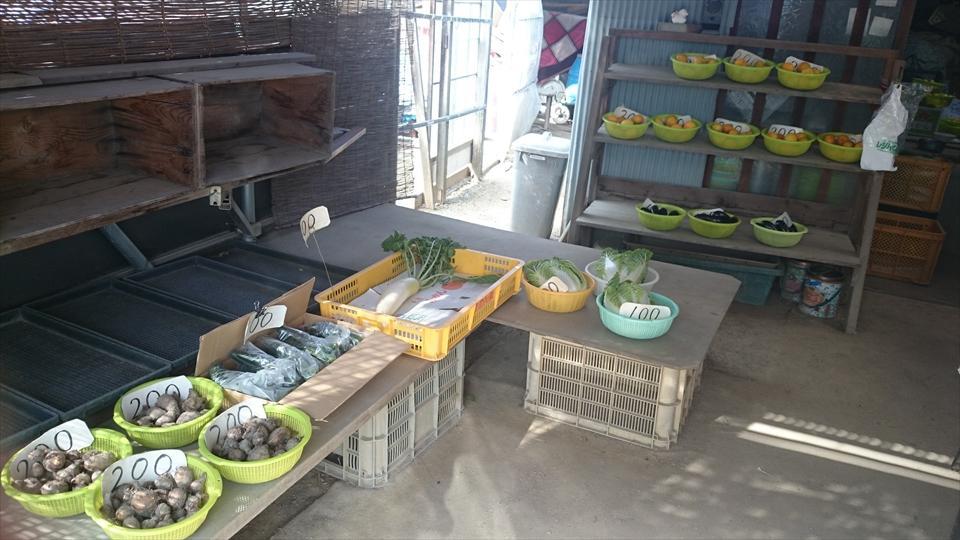 木村農園_2 ｜ 堺市中区の野菜直売所 ｜ ヤサイバー（YACYBER）