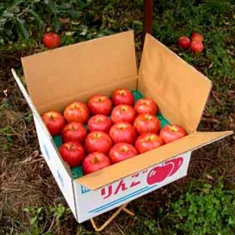 鈴木園 ｜ 長野県山ノ内町の野菜直売所 ｜ ヤサイバー（YACYBER）