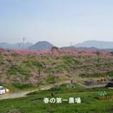 神田桃園の写真サムネイル4