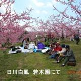 神田桃園の写真サムネイル3