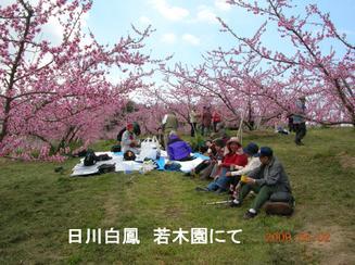 神田桃園の写真画像3