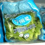 
								㈱グリーンクロックス 大阪府立大学新世代植物工場
							の写真サムネイル1