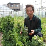 平野農園の写真サムネイル1