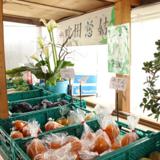 平野農園の写真サムネイル4