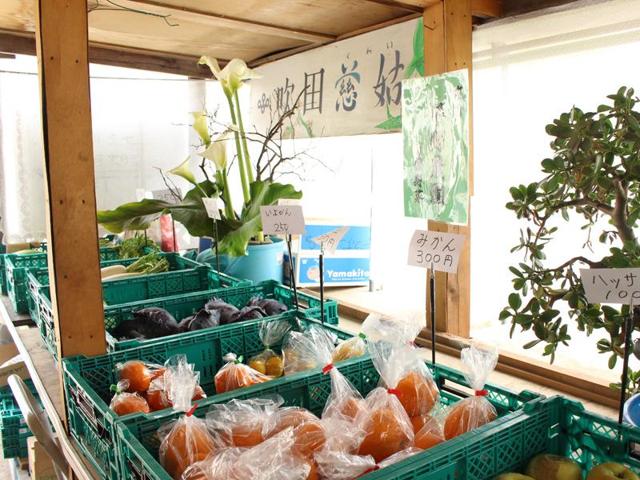 平野農園の写真画像4