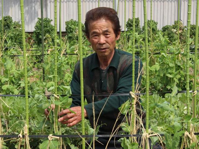 平野農園の写真画像6