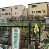 平野農園の写真サムネイル2