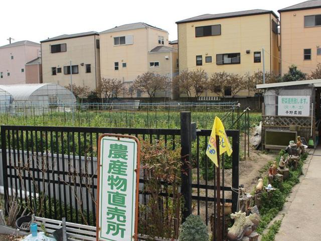 平野農園の写真画像2