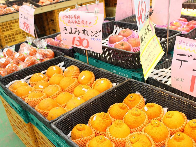 旬鮮広場 ｜ 大阪府富田林市の野菜直売所 ｜ ヤサイバー（YACYBER）