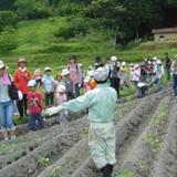 穂谷自然農園の写真サムネイル4