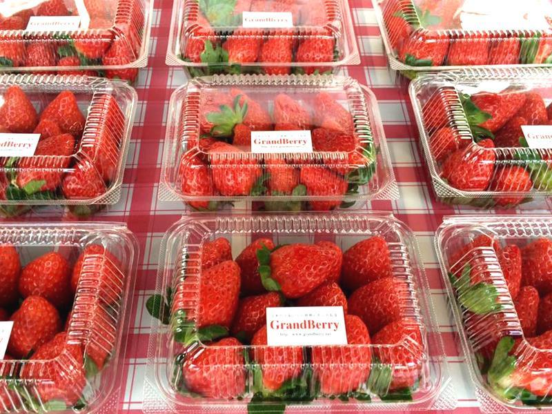 Grand Berry ｜ 大阪府八尾市の野菜直売所・農業体験 ｜ ヤサイバー