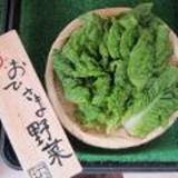 
								おひさま野菜 拓
							の写真サムネイル1