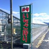 下村ベリー園の写真サムネイル1