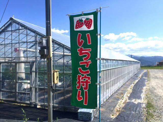 下村ベリー園の写真画像1