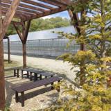 下村ベリー園の写真サムネイル6