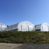 モンキー Farm Labの写真サムネイル4
