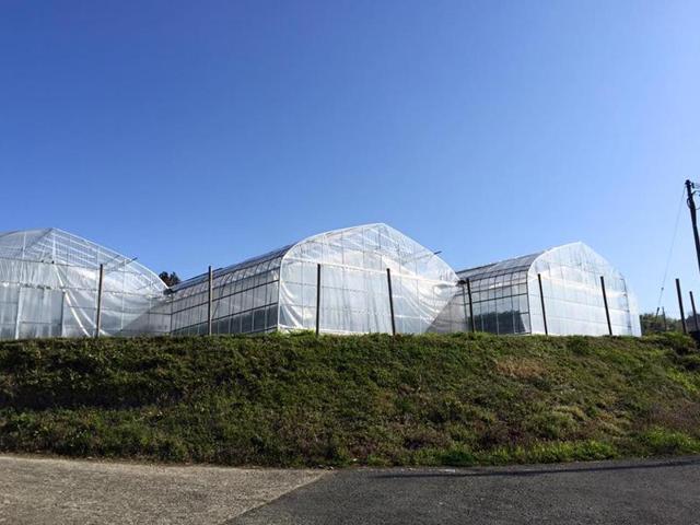 モンキー Farm Labの写真画像4