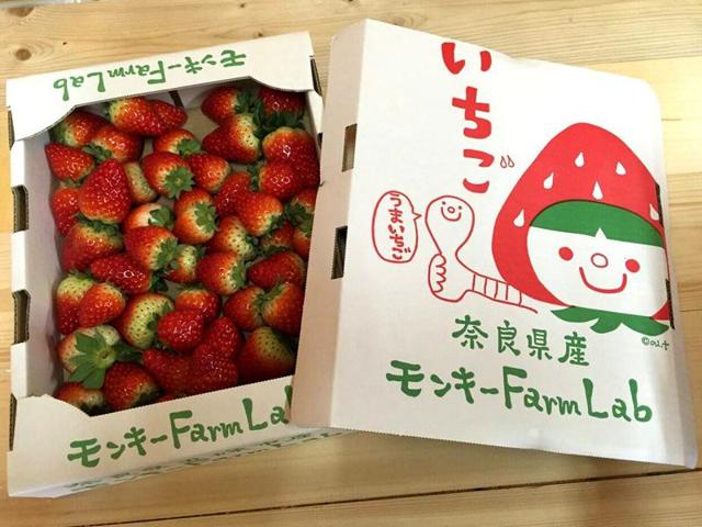 モンキー Farm Labの写真画像5