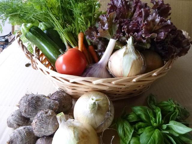 元ちゃんファーム ｜ 和歌山県岩出市の野菜直売所 ｜ ヤサイバー