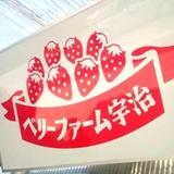 ベリーファーム宇治の写真サムネイル1