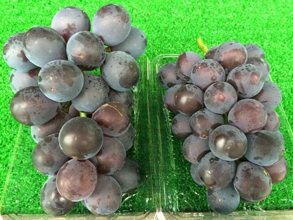 乾ブドウ園 ｜ 大阪府柏原市の野菜直売所 ｜ ヤサイバー（YACYBER）