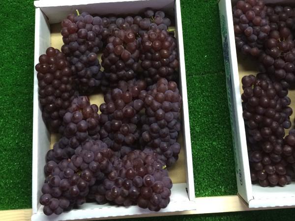 グ*ル様 大阪府柏原市引き取り限定※説明文をご確認のうえご入札ください。 FP柏原市今町31 オーナーチェンジ物件 販売開始 ／ JR関西本線「柏原