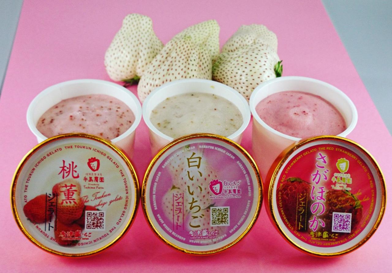 白いちご 手島農園 ｜ 佐賀県唐津市の野菜直売所 ｜ ヤサイバー（YACYBER）