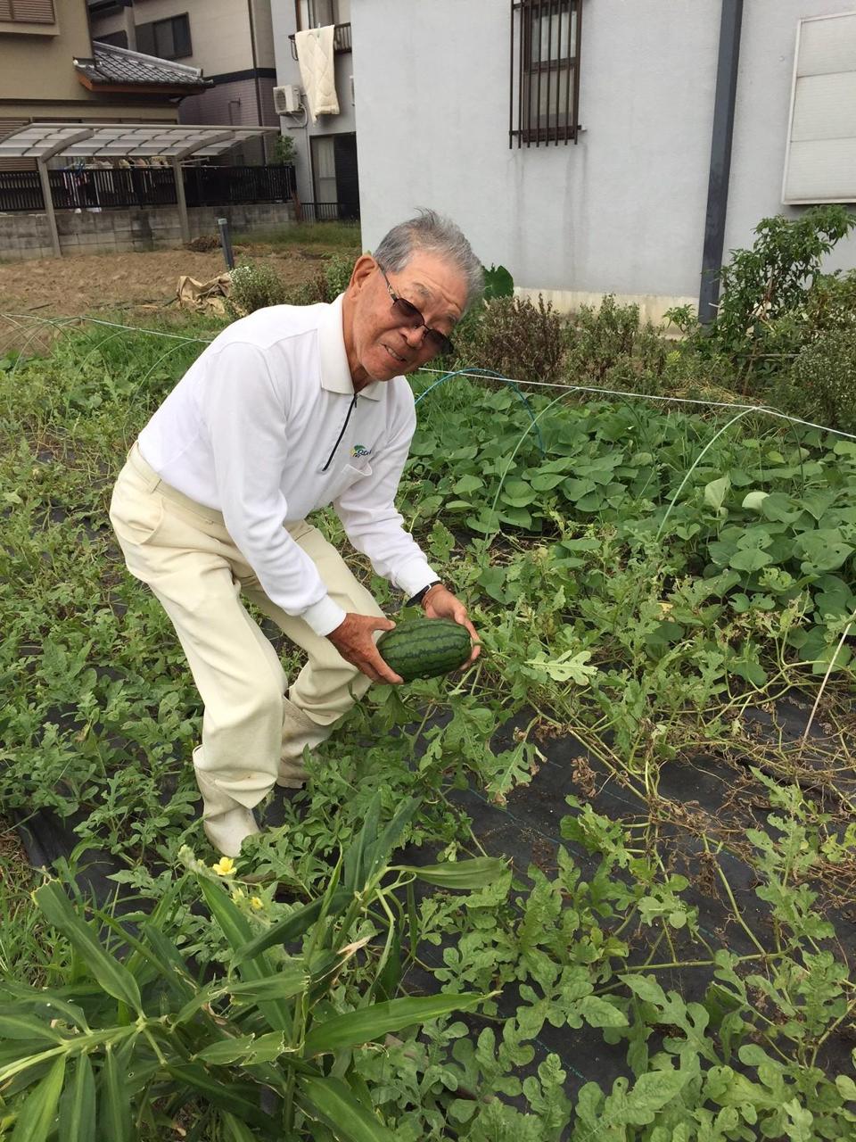 大葉農園 大葉農園 - メルカリ