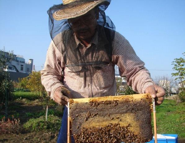 石崎養蜂園 ｜ 堺市北区の野菜直売所 ｜ ヤサイバー（YACYBER）