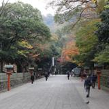 枚岡神社朝市