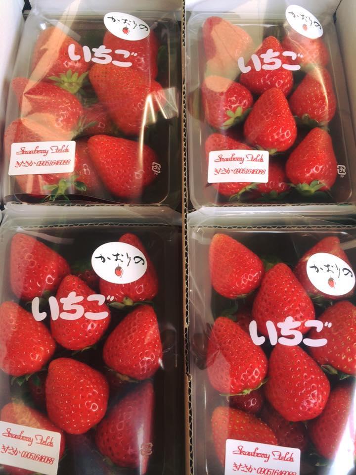ストロベリーフィールズきたさか ｜ 滋賀県彦根市の野菜直売所・農業