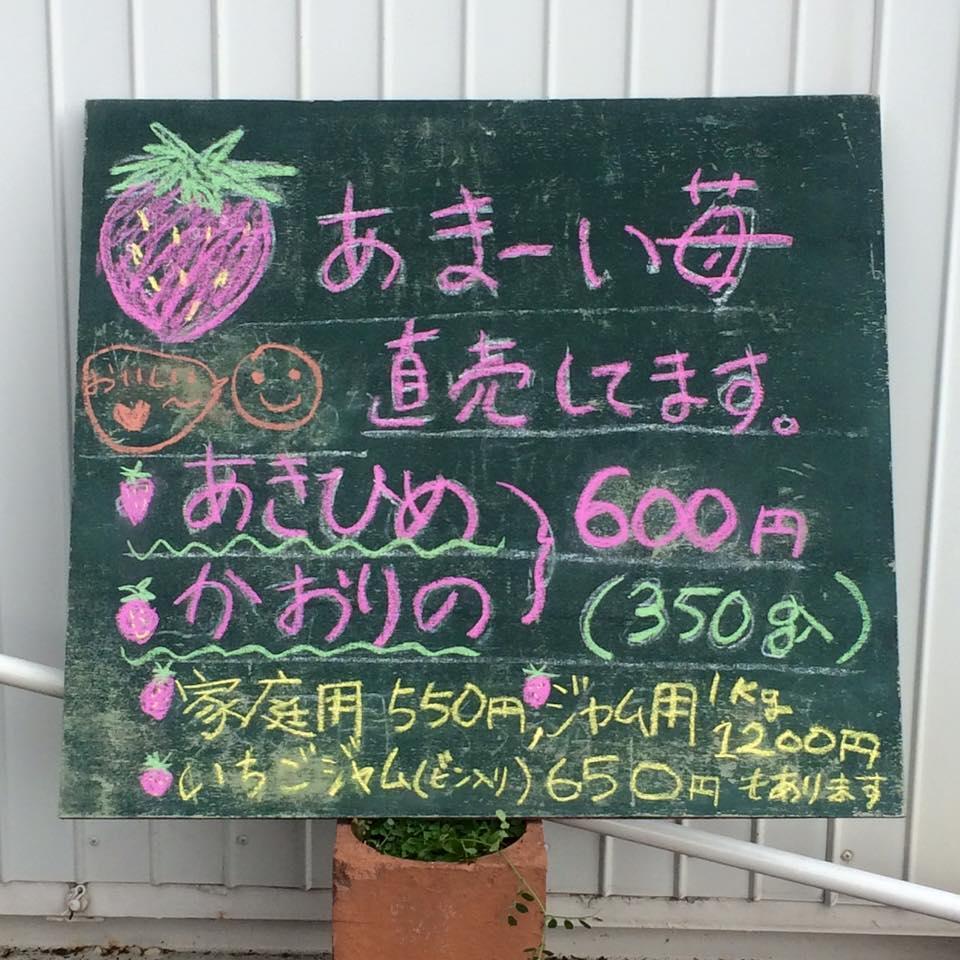 ストロベリー様の専用ページです。 AZ STRAWBERRY🍓 | AZ STRAW BERRY（アズストロベリー）