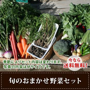 大洞菜園 【通常購入】旬のおまかせ野菜セット