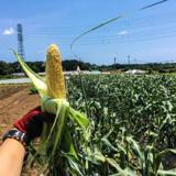 有野実苑オートキャンプ場の写真サムネイル1