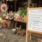 有野実苑オートキャンプ場
