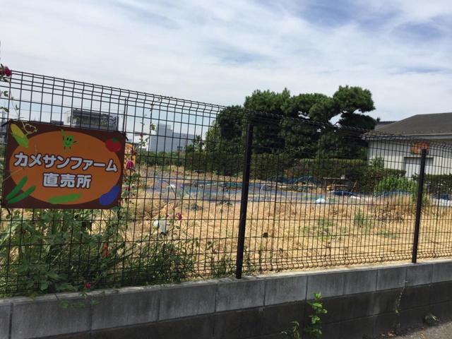 カメサンファームの写真画像2