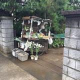 小宮農園直売所の写真サムネイル1