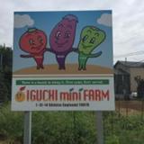 Iguchi mini farm