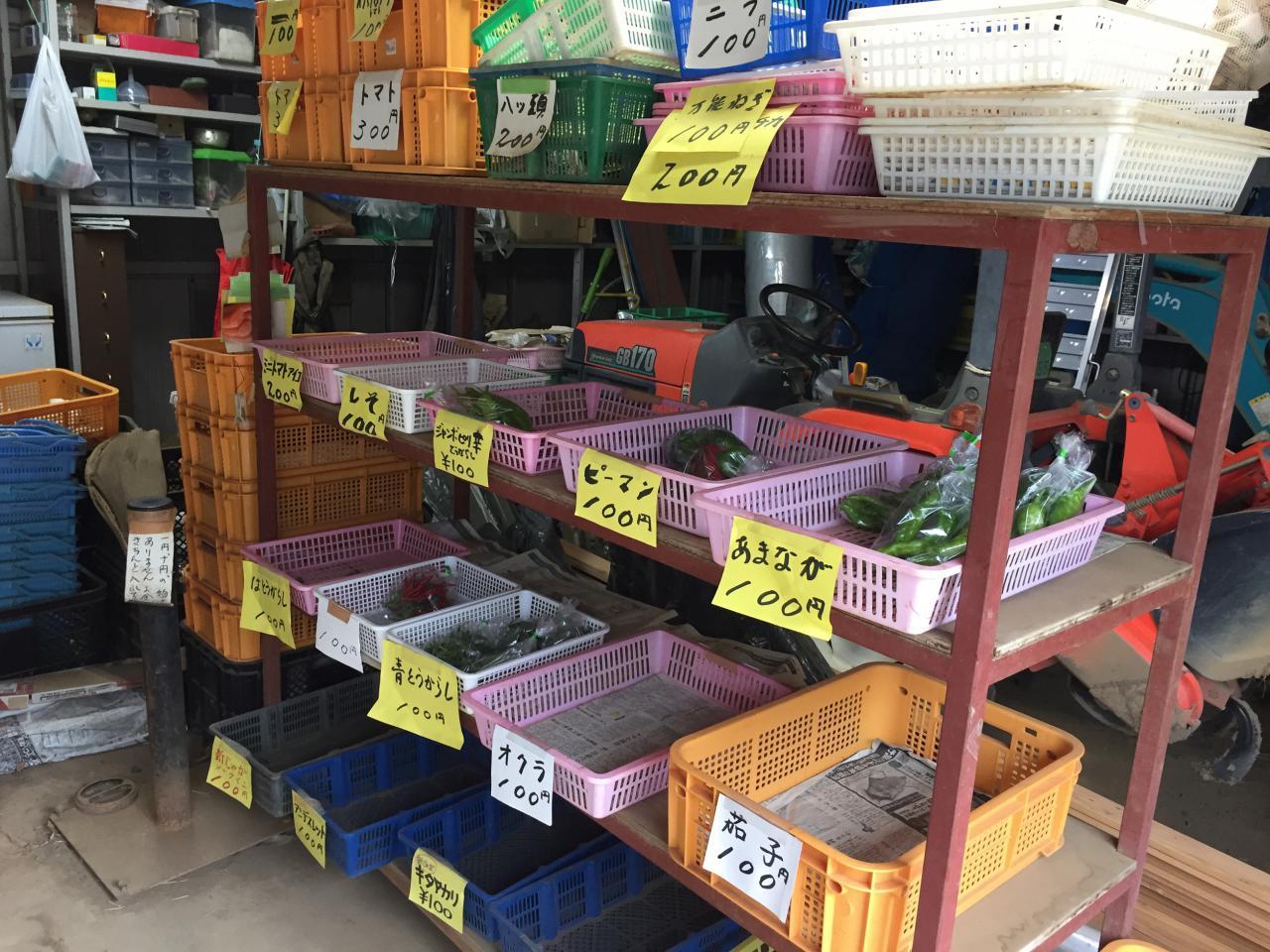 香取農園 香取農園 (@katorifarm) • Instagram photos and videos