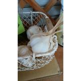 
								ぐ～たら無人販売所
							の写真サムネイル1
