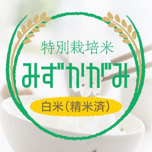 有限会社しまだファーム 特別栽培米 みずかがみ 白米27kg〈1週間以内で発送〉