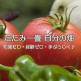 ちょこっと農業 【枚方茄子作5丁目農園】の写真サムネイル1
