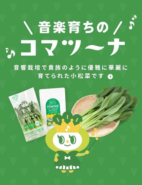 じゅんちゃんファーム ｜ 静岡県浜松市の野菜直売所 ｜ ヤサイバー